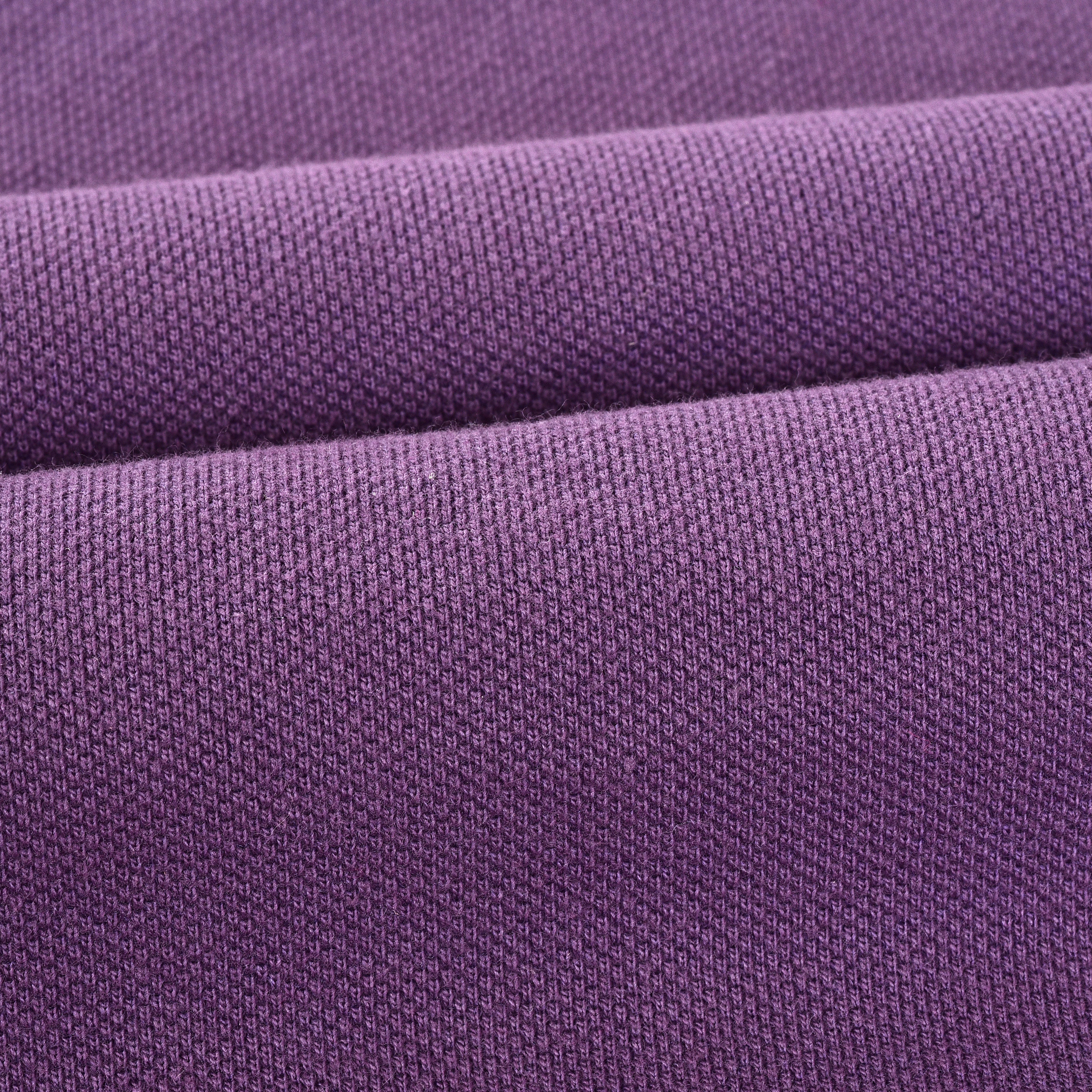 Imperio Men Solid Polo Neck Polyester Purple T-Shirt TC5007