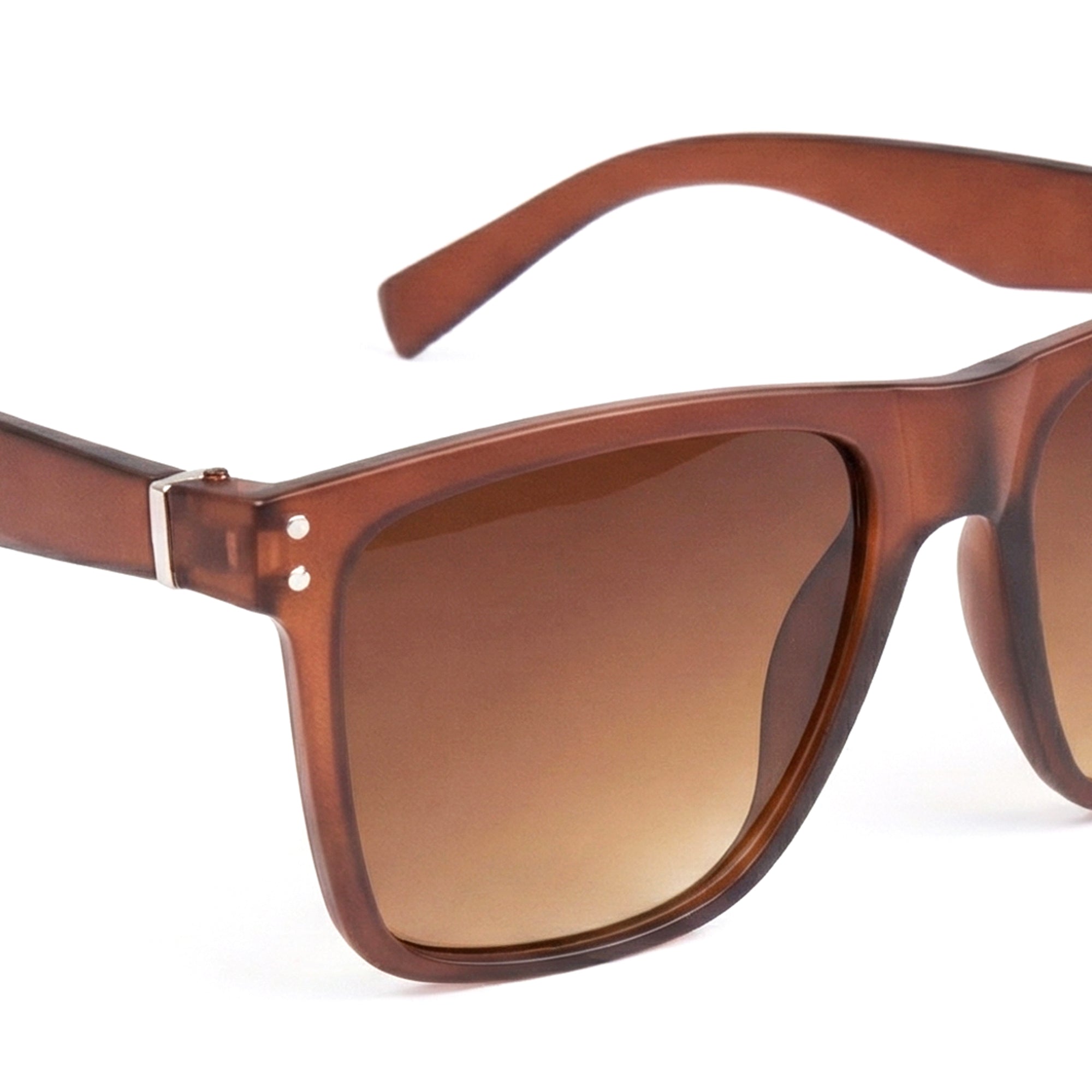 Ajanta Everyday Unisex Eyewear