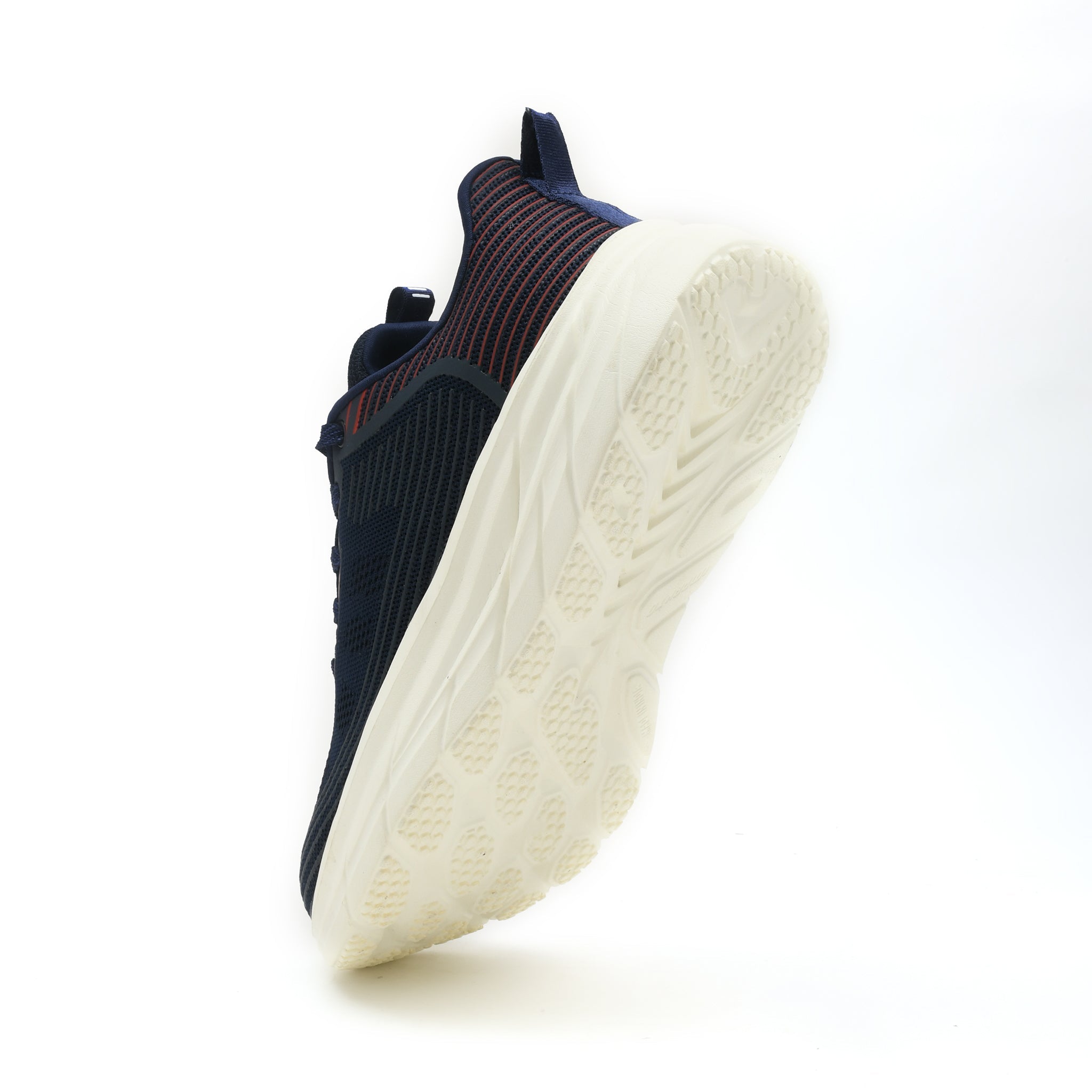 Ajanta21112312145copy